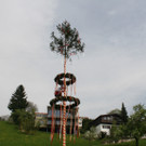 IMG_7979_JPG-1367665715