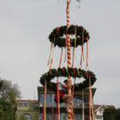 IMG_7981_JPG-1367665726