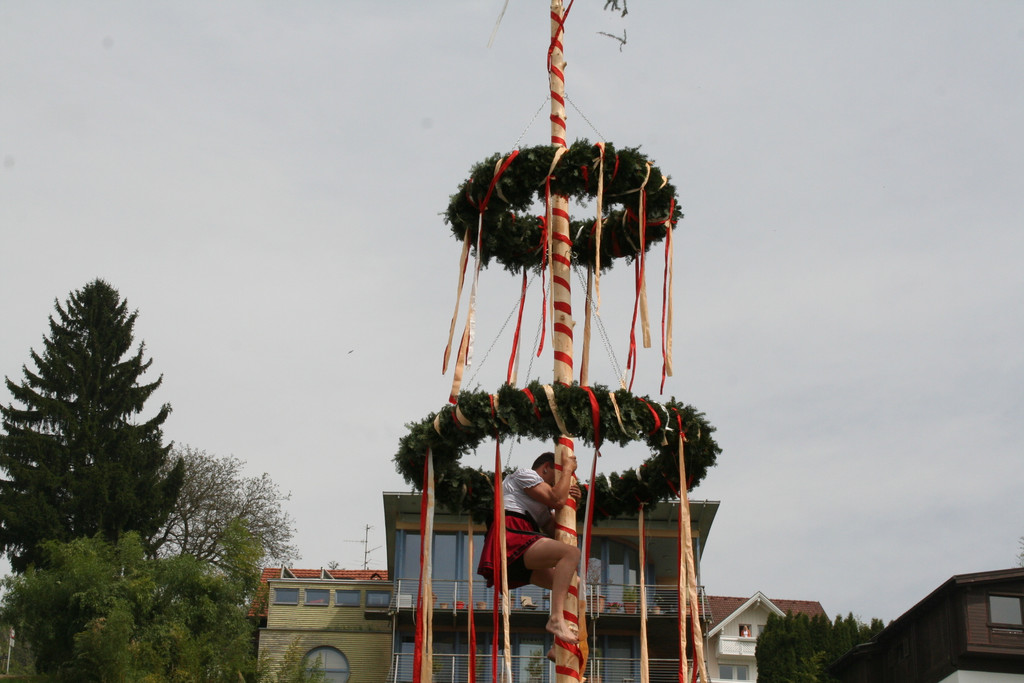 IMG_7981_JPG-1367665726