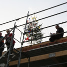 IMG_7808_JPG-1367668666