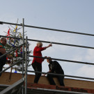 IMG_7812_JPG-1367668689