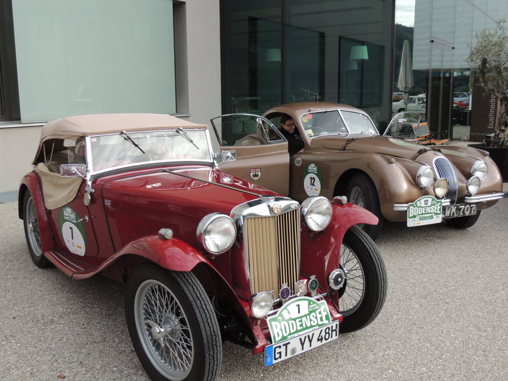 DSCN7674_JPG-1367670445