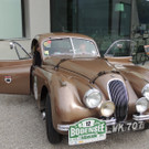 DSCN7676_JPG-1367670454