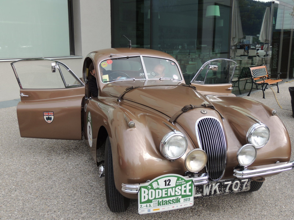 DSCN7676_JPG-1367670454