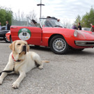 DSCN7739_JPG-1367670559