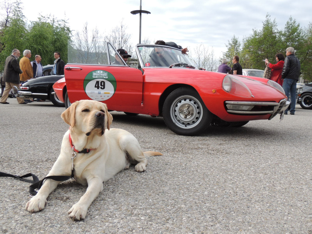 DSCN7739_JPG-1367670559