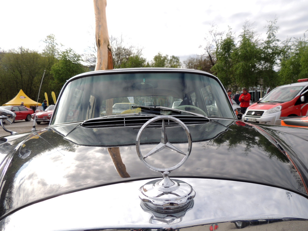 DSCN7750_JPG-1367670574