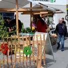 Bilder vom Markt