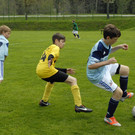 214 Kopie_jpg-1367691482