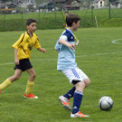 331 Kopie_jpg-1367691873