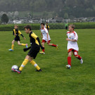 059 Kopie_jpg-1367692219
