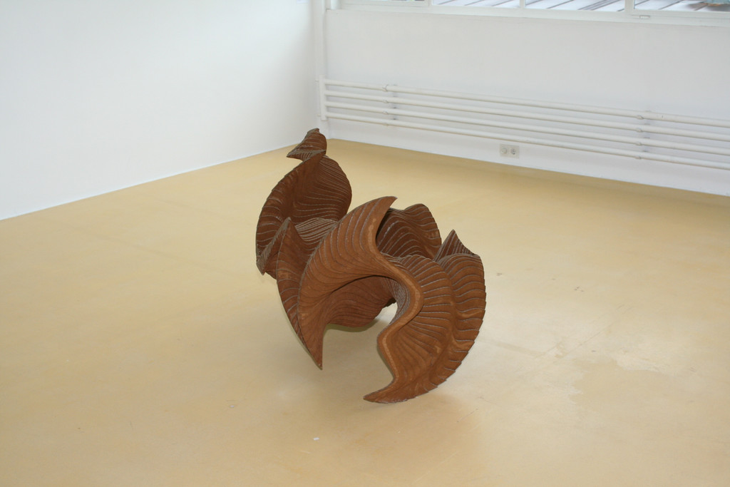 IMG_8036_JPG-1367756337