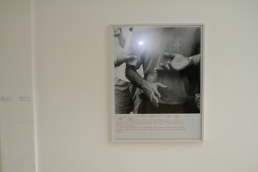 IMG_8037_JPG-1367756347