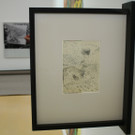 IMG_8047_JPG-1367756449