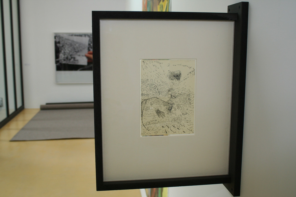 IMG_8047_JPG-1367756449