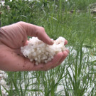 Unwetter Bez_ Neunkirchen _10_.jpg