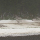 Unwetter Bez_ Neunkirchen _14_.jpg