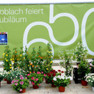 Gartenmarkt Koblach 087.JPG