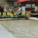 Gartenmarkt Koblach 094.JPG