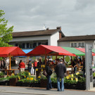 Gartenmarkt Koblach 103.JPG