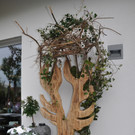 gweih_jpg-1367773024