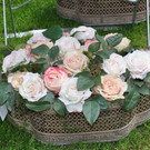 rosen2_jpg-1367773052