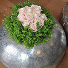 rosen_jpg-1367773061