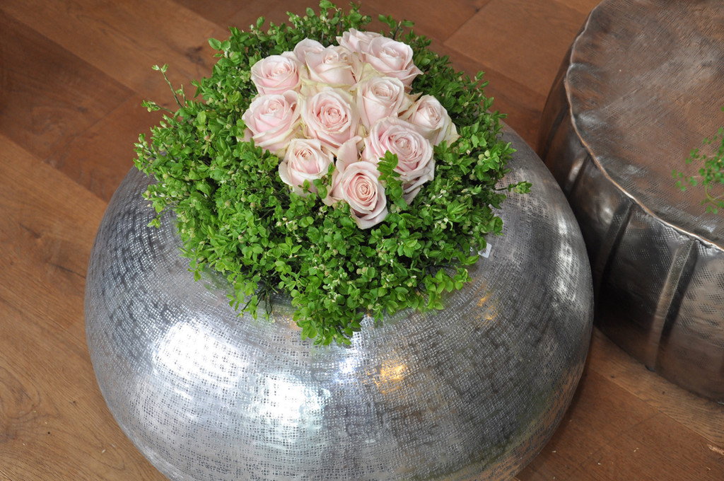 rosen_jpg-1367773061