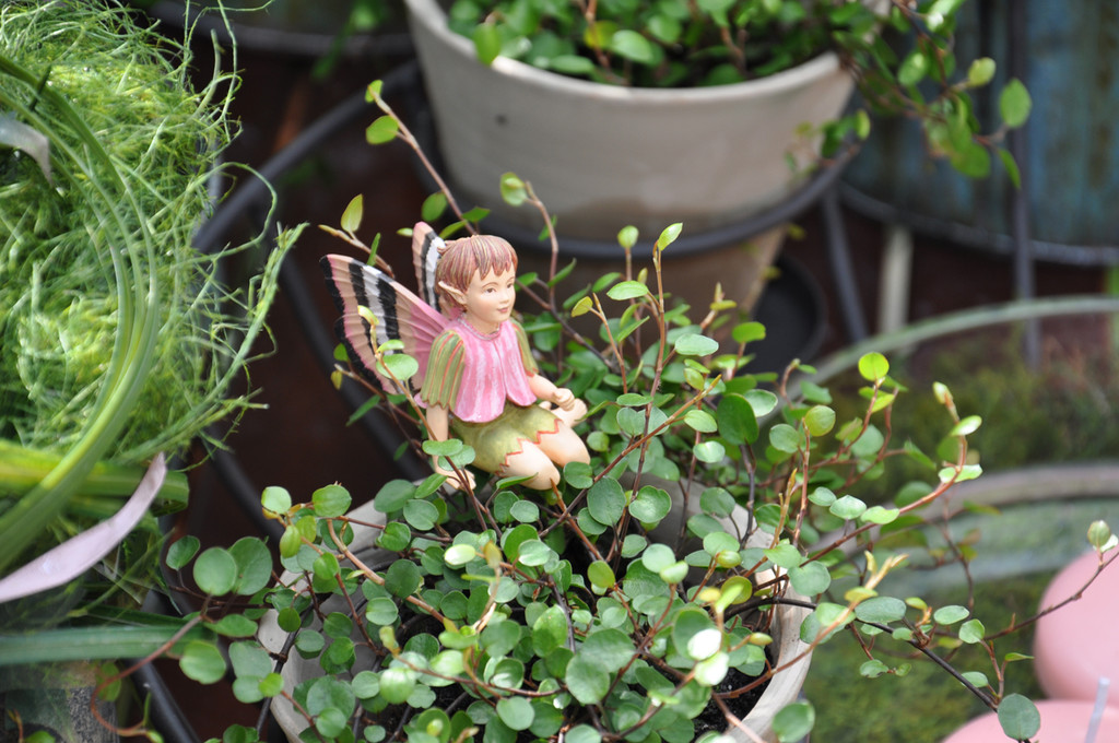 elfe_jpg-1367773129