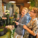 rosensommer4_jpg-1367773205