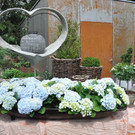 rosensommer1_jpg-1367773242