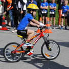 DSC_3206_JPG-1367778187