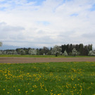 IMG_0594_jpg-1367779460