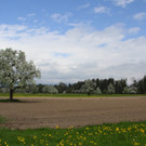 IMG_0606_jpg-1367779465