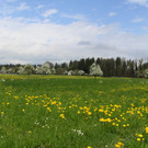 IMG_0635_panorama_jpg-1367779490