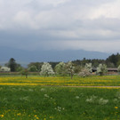 IMG_0655_jpg-1367779495