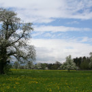 IMG_0723_jpg-1367779501