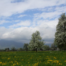 IMG_0729_jpg-1367779507