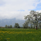 IMG_0747_jpg-1367779522