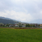 IMG_0780_jpg-1367779538