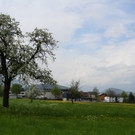 IMG_0789_jpg-1367779550