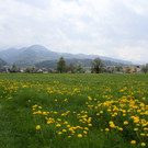 IMG_0832_jpg-1367779562