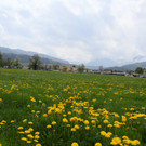 IMG_0840_jpg-1367779567