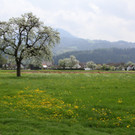 IMG_0860_jpg-1367779573