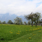 IMG_0882_jpg-1367779578