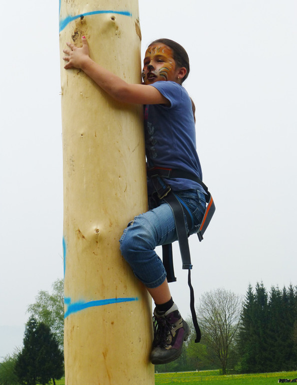 Maibaum2_jpg-1367781281