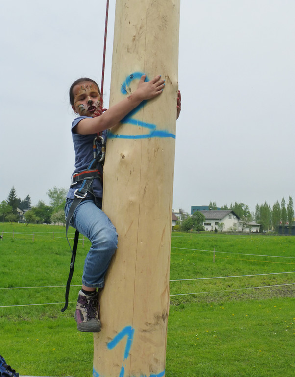 Maibaum2a __jpg-1367781303