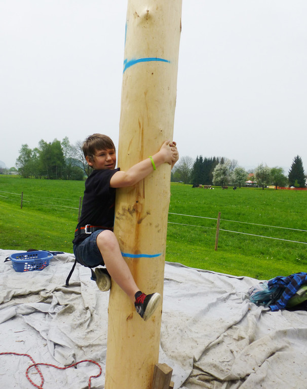 Maibaum3a_jpg-1367781317
