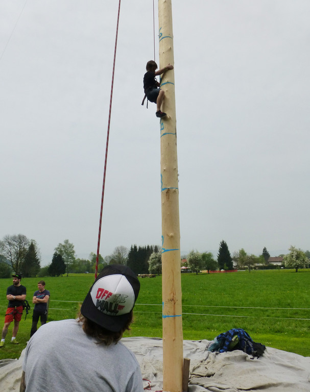 Maibaum3c_jpg-1367781338