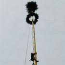 Maibaum3d_jpg-1367781341